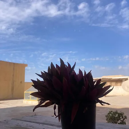 Quiet House Tamraght Apartment Agadir Exterior photo